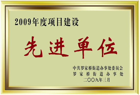 "项目建设"先进单位